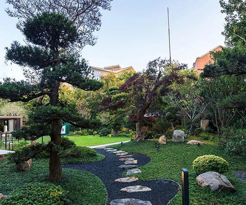 山东大道园林商家推荐 林地与湿地规划设计优选指南