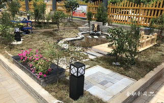 农学学子勇夺2018国赛园林景观设计与施工赛项一等奖